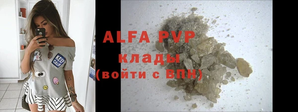 гашик Алексин