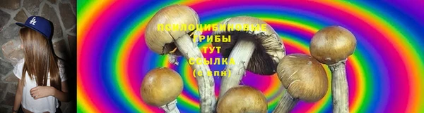 гашик Новозыбков