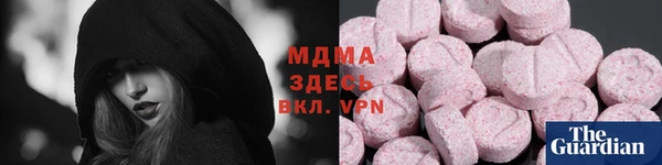 гашик Алексин