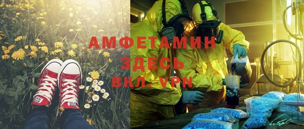 ПСИЛОЦИБИНОВЫЕ ГРИБЫ Алзамай