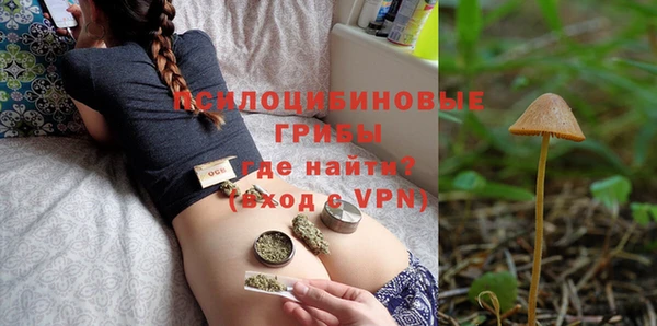 ПСИЛОЦИБИНОВЫЕ ГРИБЫ Алзамай