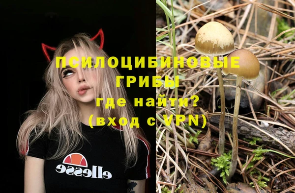 мет Нефтегорск