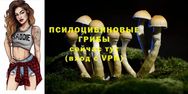 ПСИЛОЦИБИНОВЫЕ ГРИБЫ Алзамай