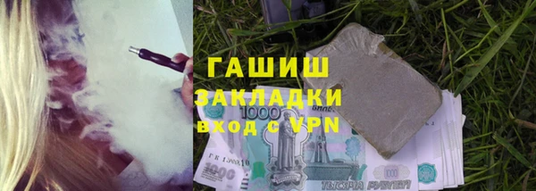 гашик Алексин