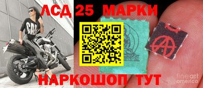 метадон Моздок