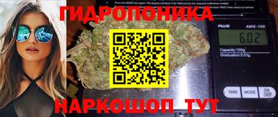 метадон Моздок