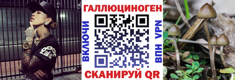 Галлюциногенные грибы Psilocybe  МЕГА онион  Ярцево 