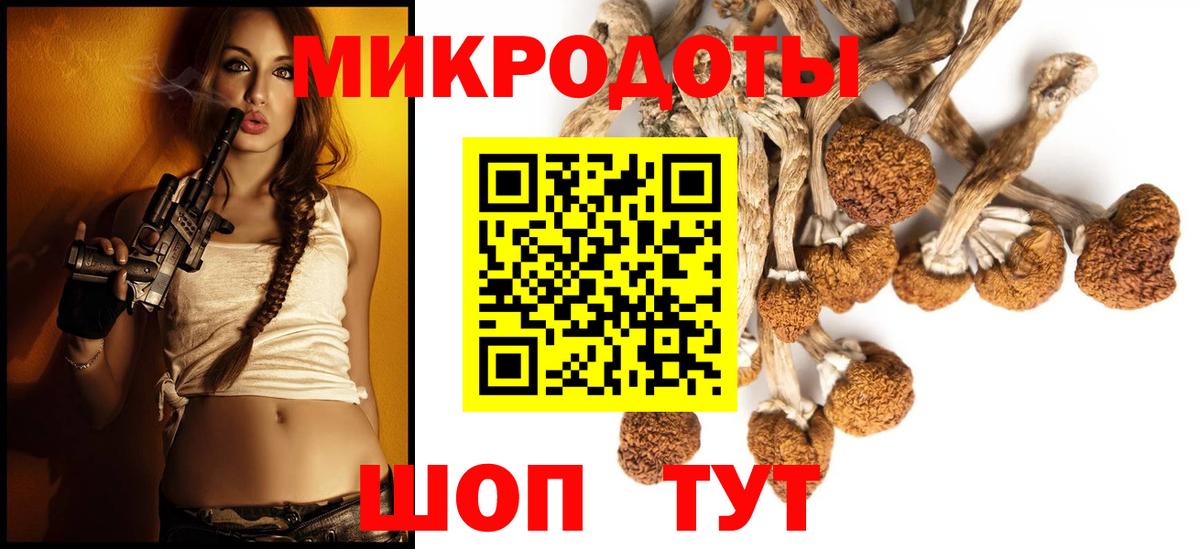 купить   Галлюциногенные грибы Cubensis  Вход с VPN  Ярцево 